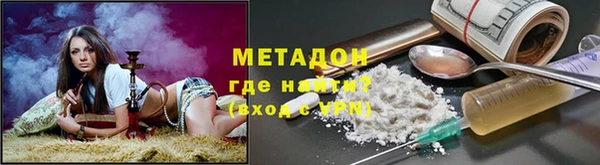 прущие грибы Алзамай