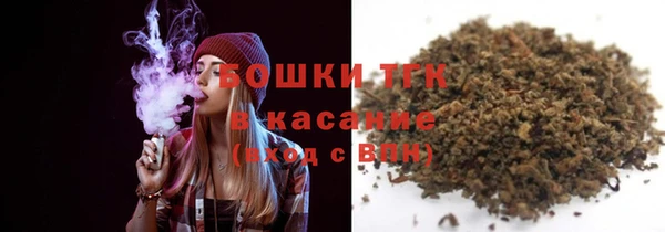 прущие грибы Алзамай