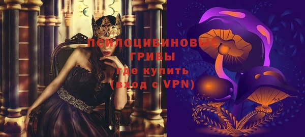 прущие грибы Алзамай