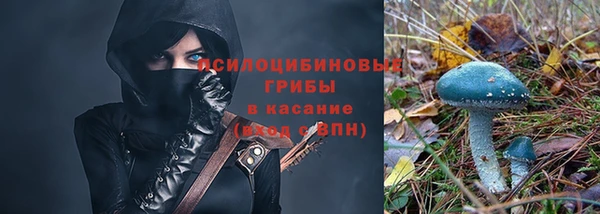 эйфоретик Алексеевка