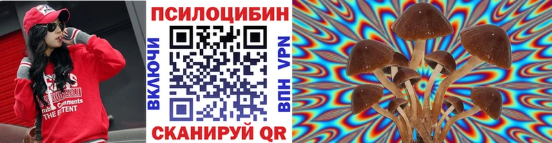Псилоцибиновые грибы Magic Shrooms  дарнет шоп  Лениногорск 