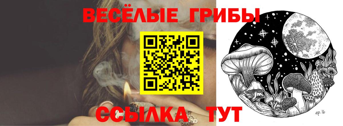 Галлюциногенные грибы GOLDEN TEACHER Лениногорск