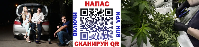 Бошки Шишки индика  как найти наркотики  Лениногорск 